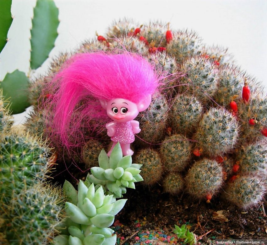 Букашки в новогоднем лесу