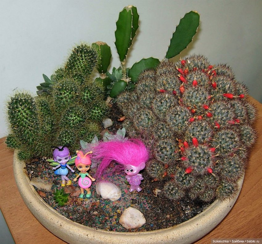 Букашки в новогоднем лесу