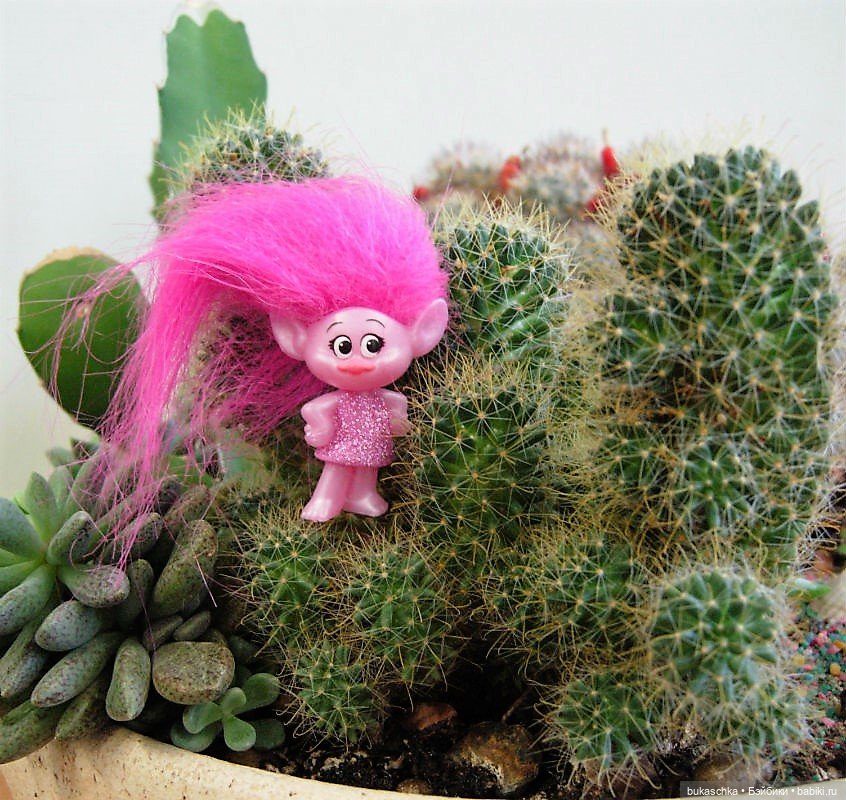 Букашки в новогоднем лесу