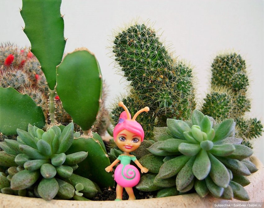 Букашки в новогоднем лесу (фото 6)