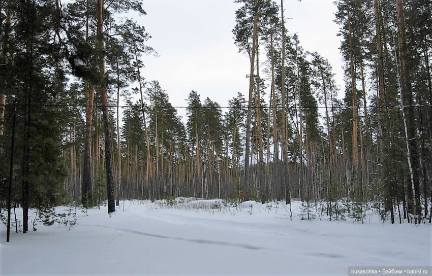 На волне. Весенняя поездка к морю (фото 3)