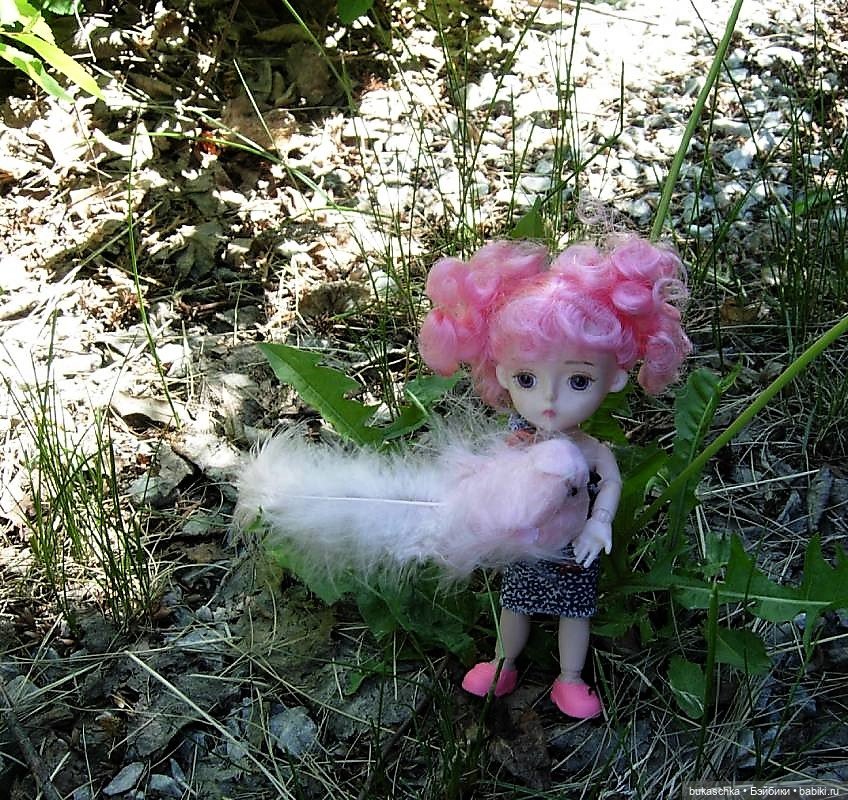 Стрекотунья белобока — Куклы Baboliy (Баболи