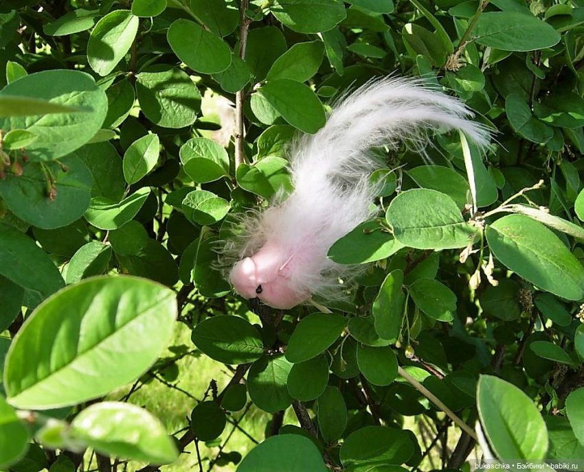 Стрекотунья белобока — Куклы Baboliy (Баболи (фото 7)