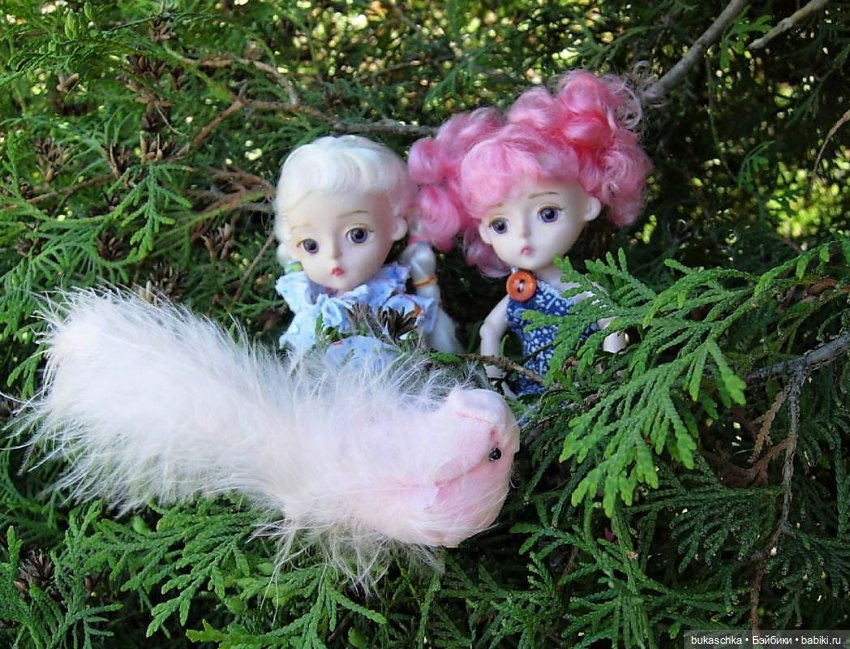 Стрекотунья белобока — Куклы Baboliy (Баболи