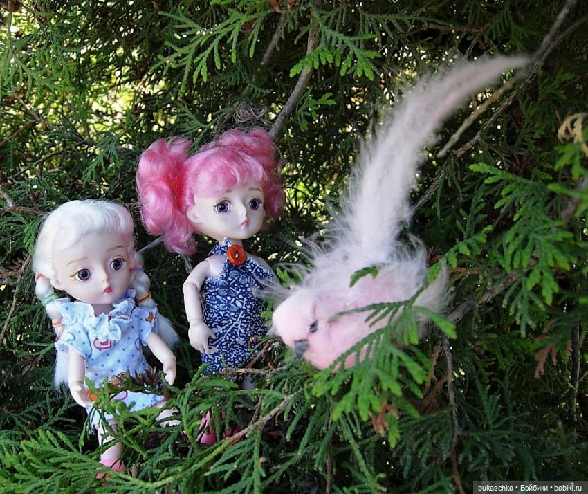 Стрекотунья белобока — Куклы Baboliy (Баболи