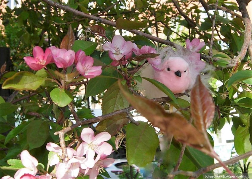 Стрекотунья белобока — Куклы Baboliy (Баболи (фото 5)