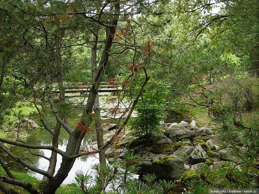 По камушкам речка бежит | Бэйбики По камушкам речка бежит — Куклы Baboliy (Баболи