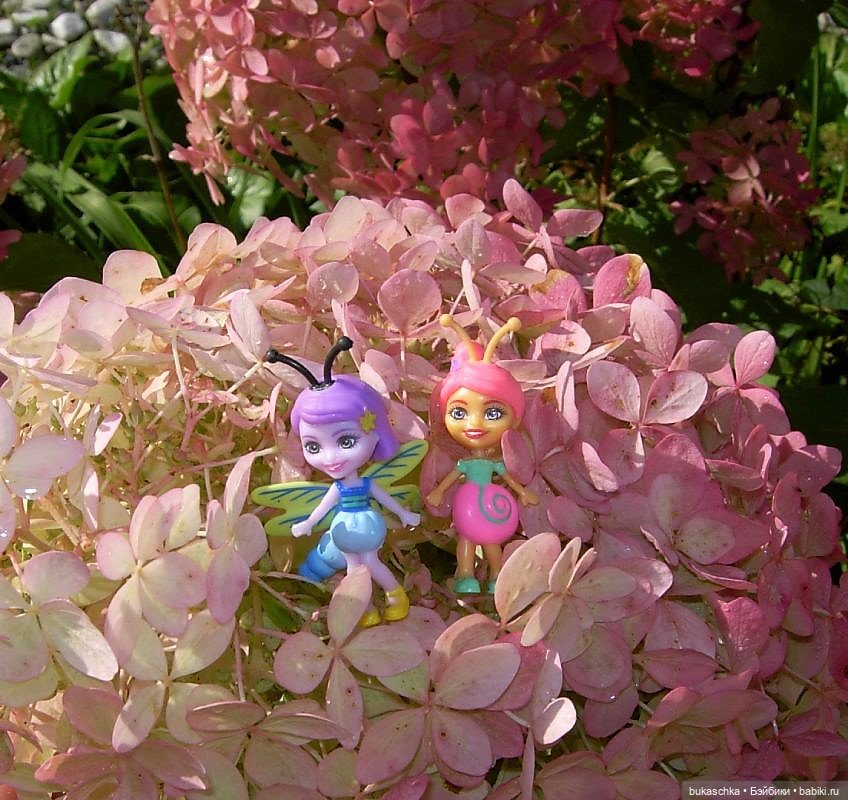 Букашки на фоне гортензии (фото 3)