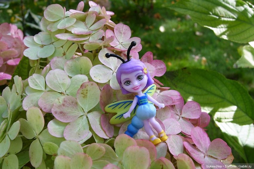 Букашки на фоне гортензии