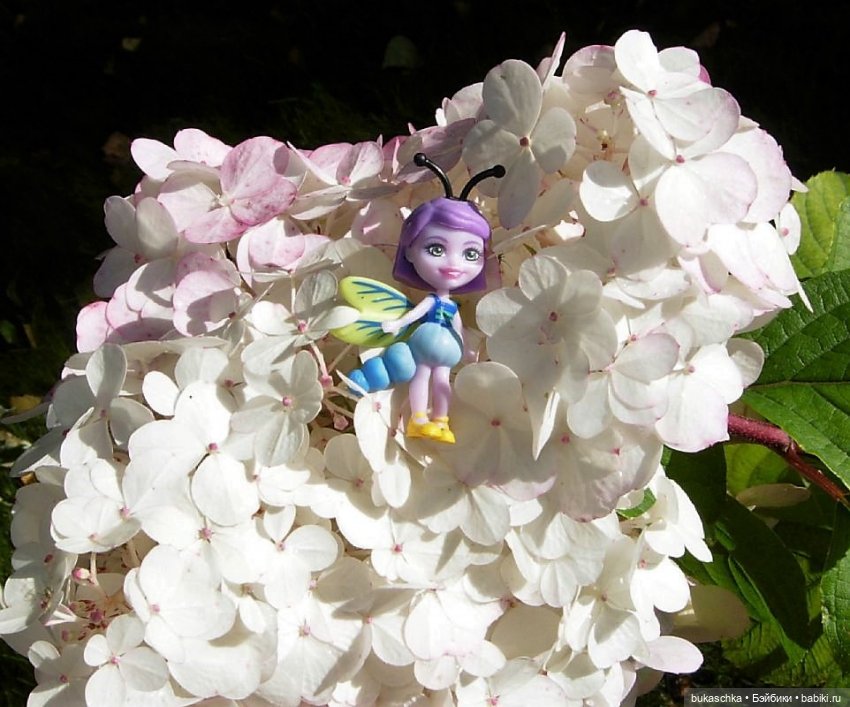Букашки на фоне гортензии (фото 4)