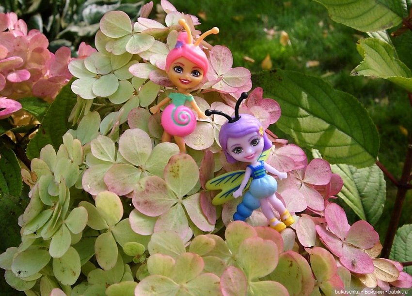 Букашки на фоне гортензии