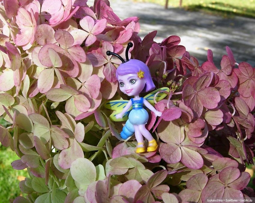 Букашки на фоне гортензии