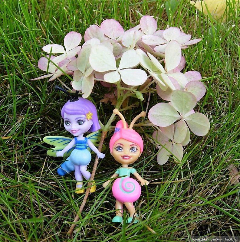 Букашки на фоне гортензии