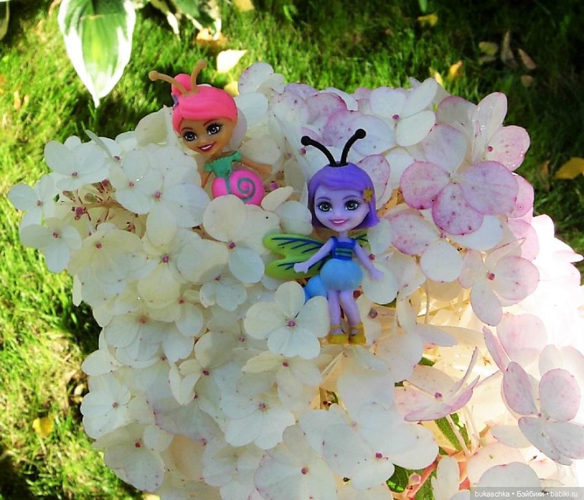 Букашки на фоне гортензии (фото 6)