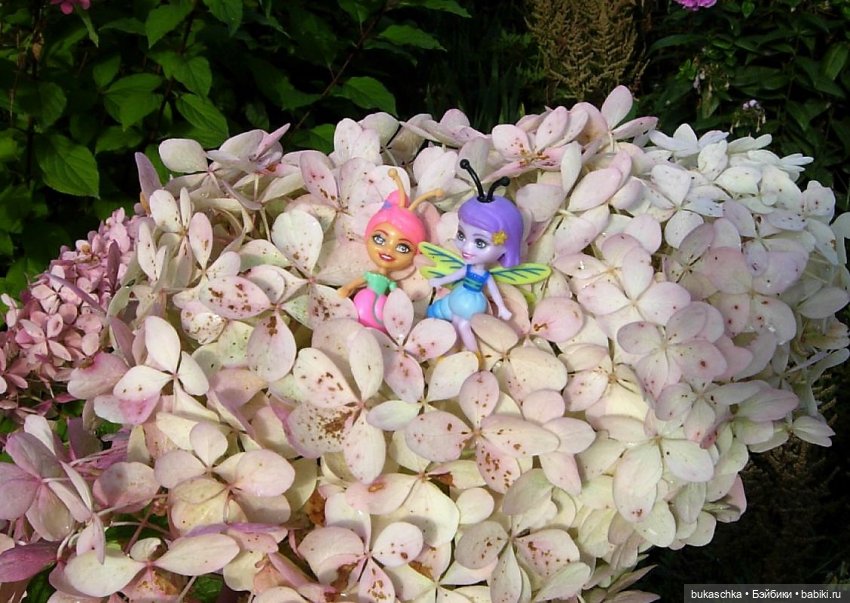 Букашки на фоне гортензии (фото 2)