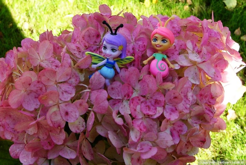 Букашки на фоне гортензии (фото 8)