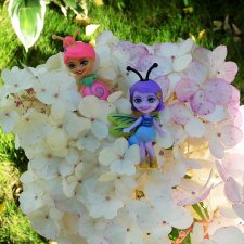 Букашки на фоне гортензии