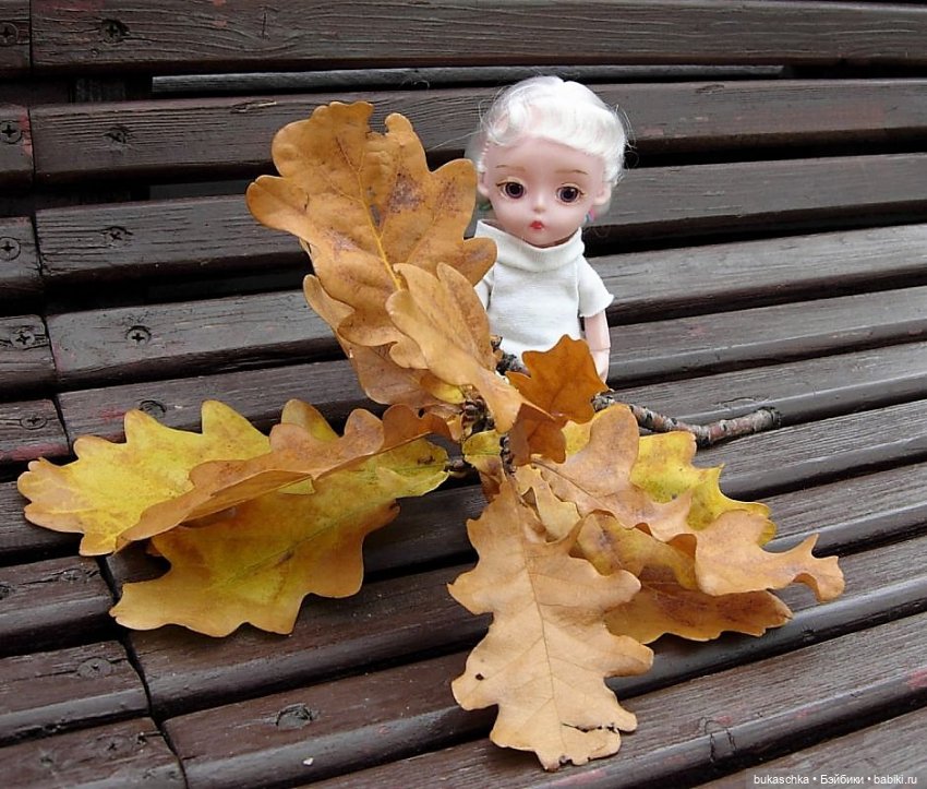 Желтый лист дубовый — Куклы Baboliy (Баболи (фото 4)