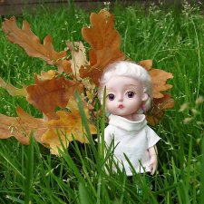 Желтый лист дубовый