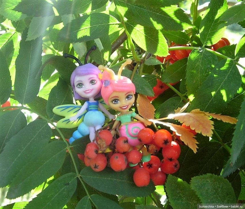 Букашки. Гроздья рябины — Другие мини