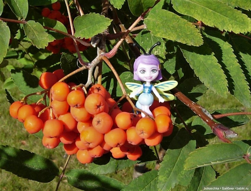 Букашки. Гроздья рябины — Другие мини (фото 2)