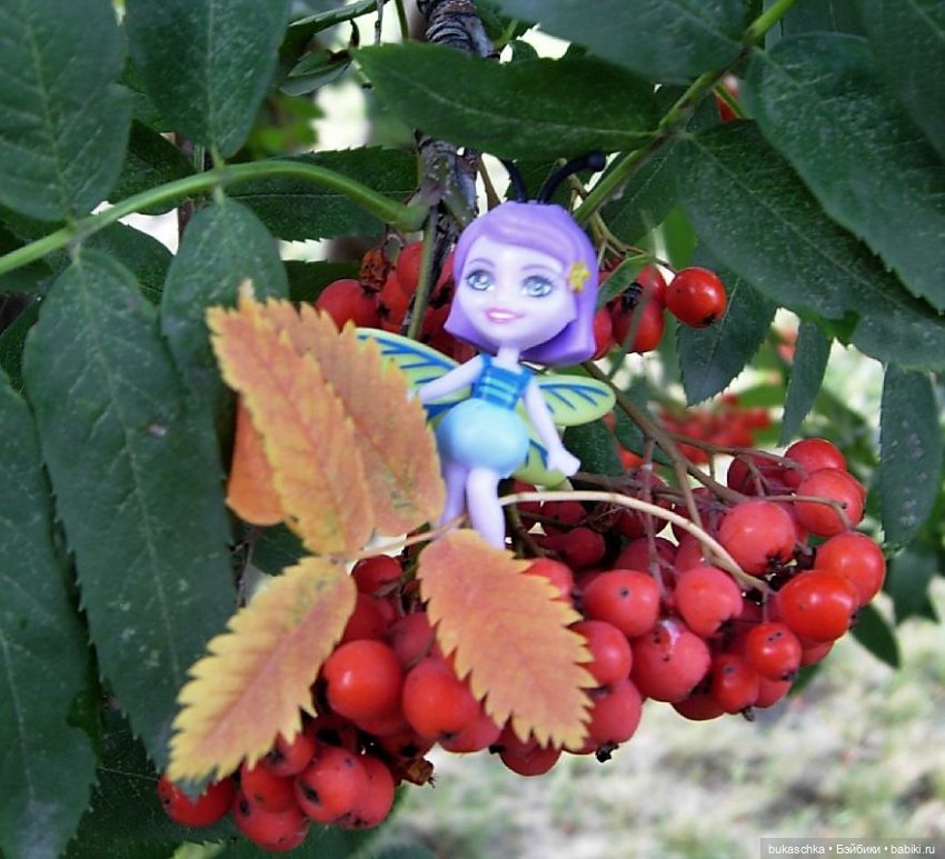 Букашки. Гроздья рябины — Другие мини