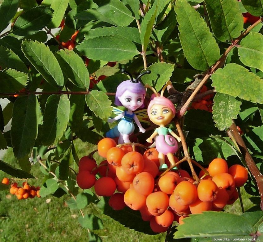 Букашки. Гроздья рябины — Другие мини