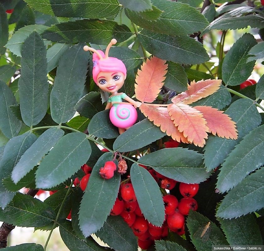 Букашки. Гроздья рябины — Другие мини