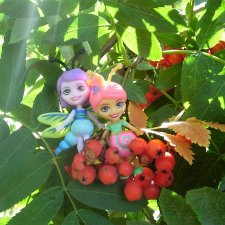 Букашки. Гроздья рябины