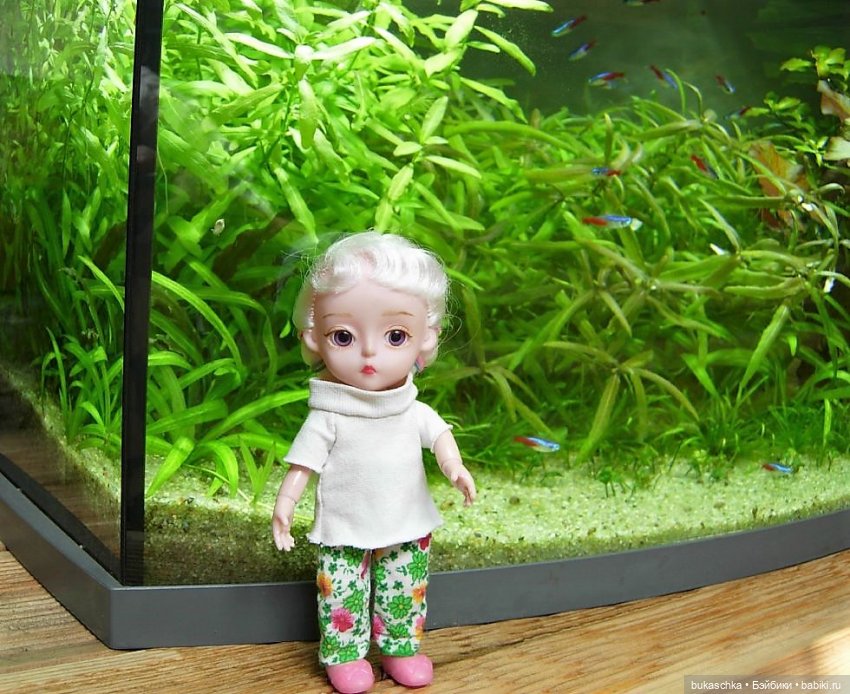 Чудеса в отделе природы — Куклы Baboliy (Баболи (фото 6)