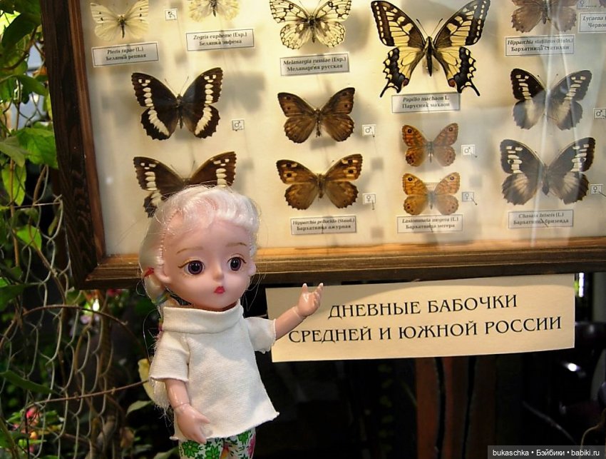 Чудеса в отделе природы — Куклы Baboliy (Баболи (фото 8)