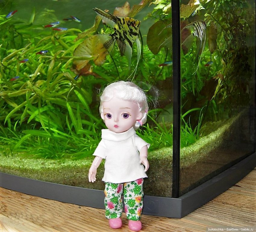 Чудеса в отделе природы — Куклы Baboliy (Баболи (фото 5)