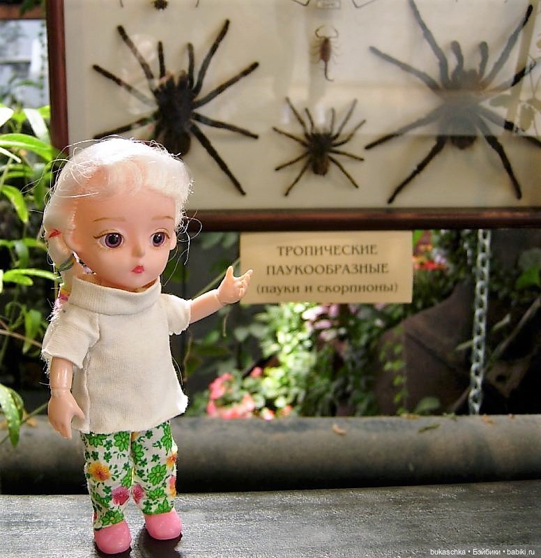 Чудеса в отделе природы — Куклы Baboliy (Баболи (фото 9)