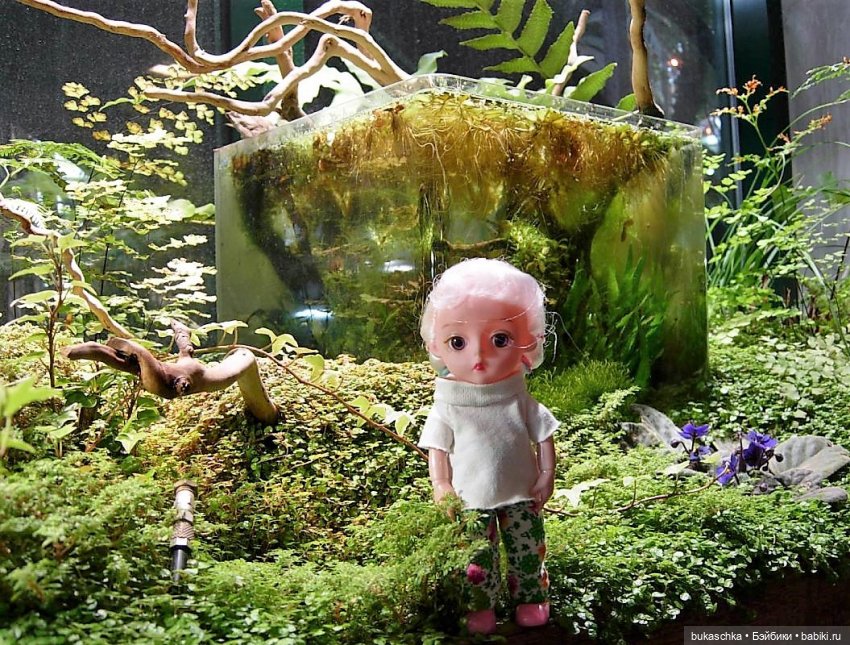 Чудеса в отделе природы — Куклы Baboliy (Баболи
