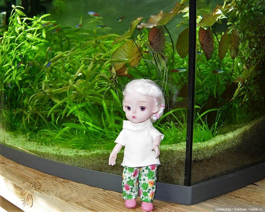 Чудеса в отделе природы — Куклы Baboliy (Баболи (фото 4)