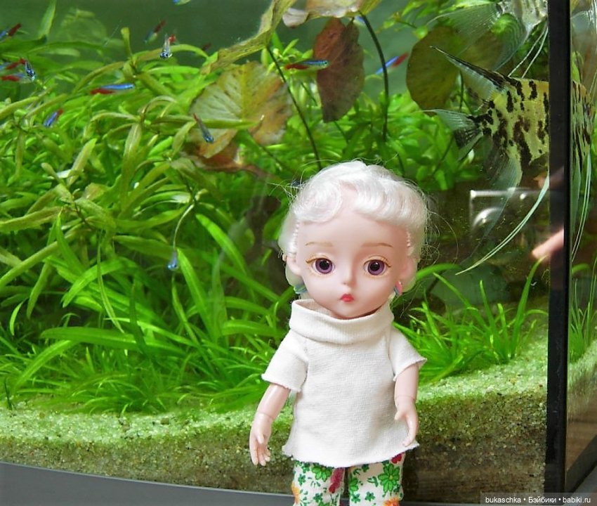 Чудеса в отделе природы — Куклы Baboliy (Баболи (фото 7)
