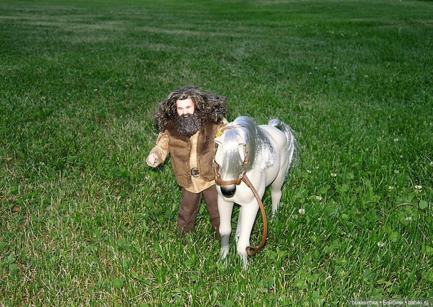 Выйду ночью в поле с конем (фото 6)