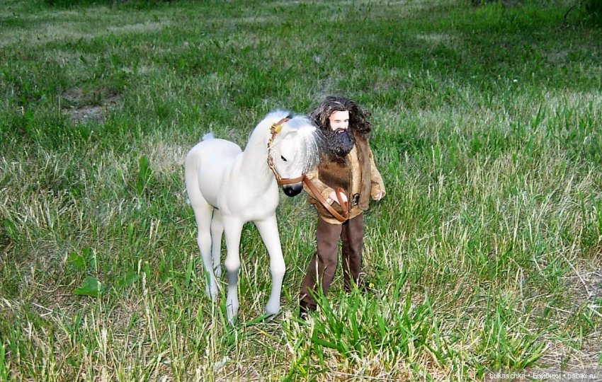 Выйду ночью в поле с конем (фото 2)