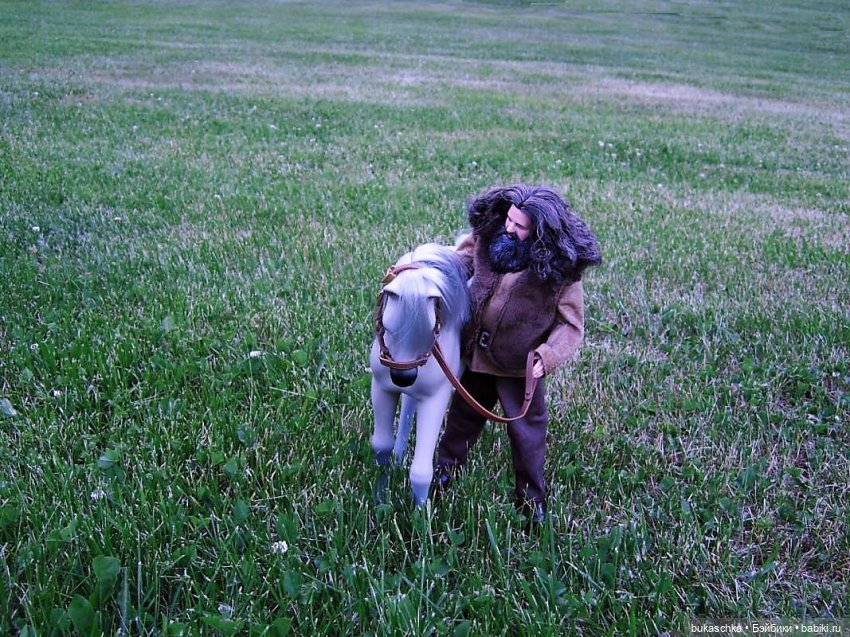 Выйду ночью в поле с конем (фото 4)