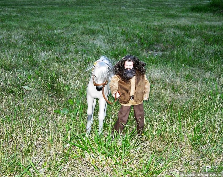 Выйду ночью в поле с конем (фото 3)