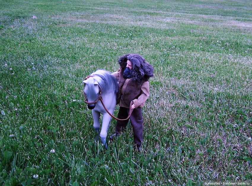 Выйду ночью в поле с конем (фото 5)