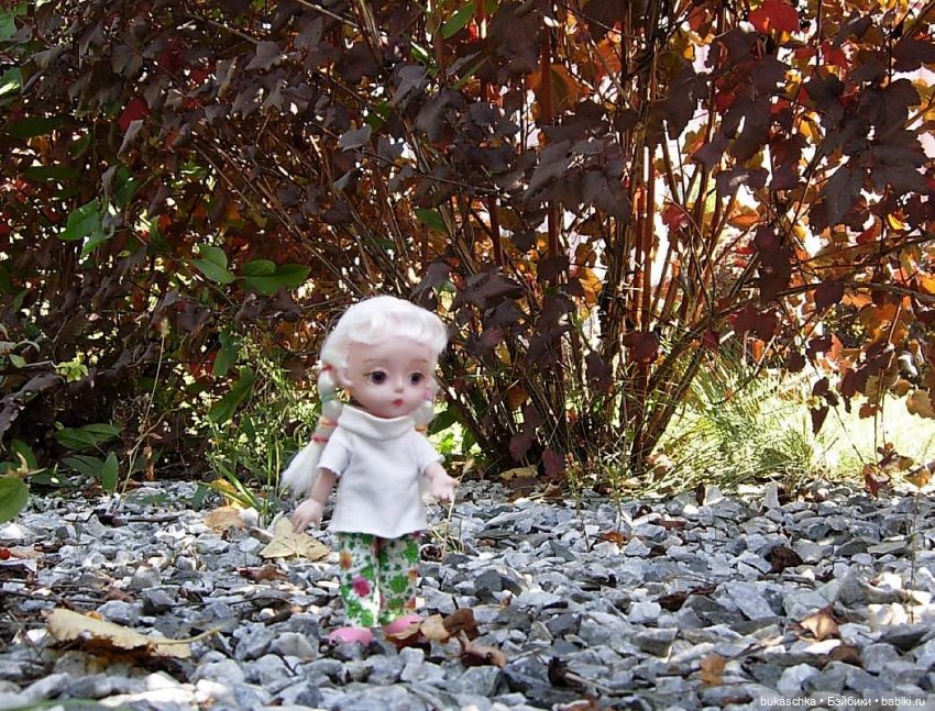Сад камней — Куклы Baboliy (Баболи (фото 8)