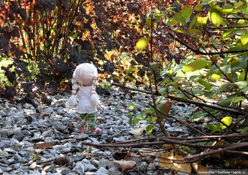 Сад камней — Куклы Baboliy (Баболи (фото 10)