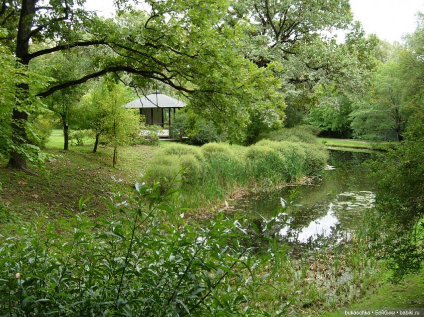В Японском саду — Куклы Baboliy (Баболи