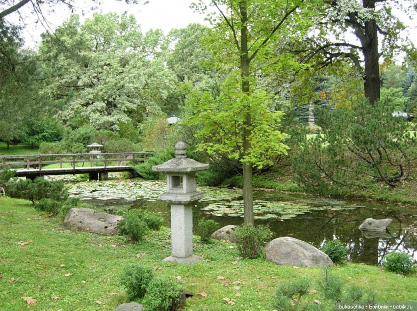 В Японском саду — Куклы Baboliy (Баболи