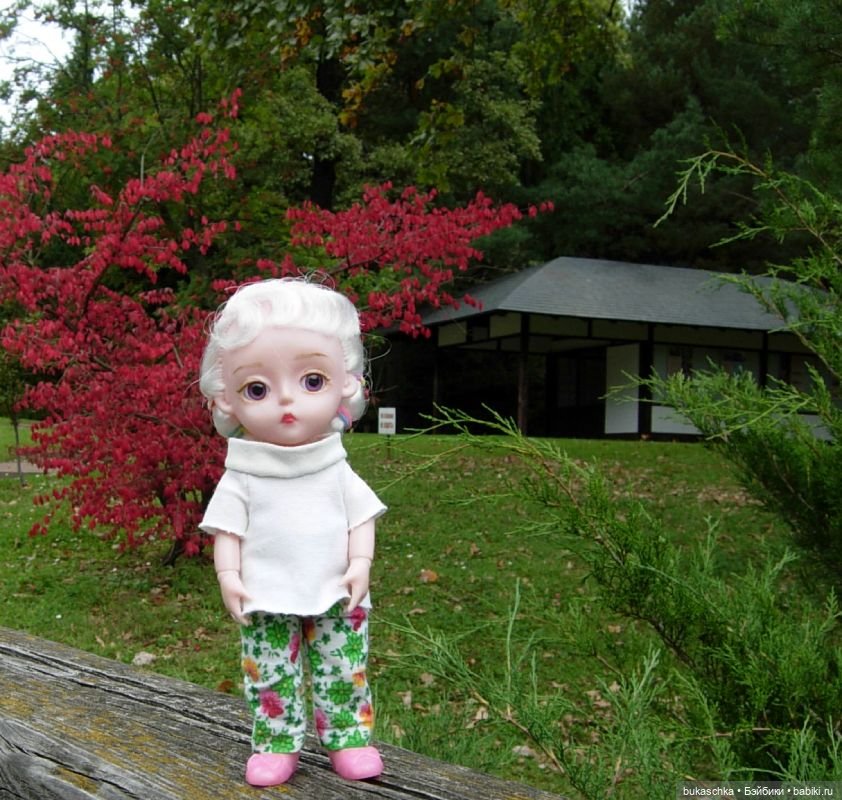 В Японском саду — Куклы Baboliy (Баболи (фото 8)