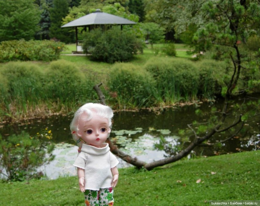 В Японском саду — Куклы Baboliy (Баболи