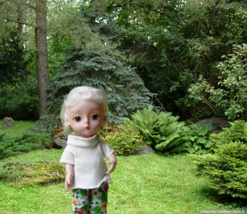 В Японском саду — Куклы Baboliy (Баболи