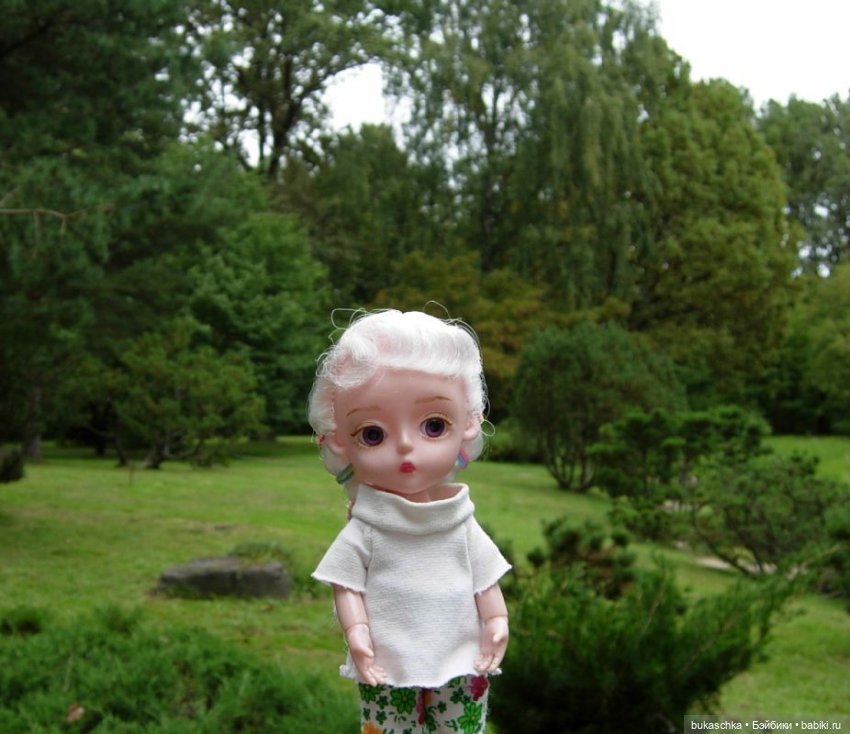В Японском саду — Куклы Baboliy (Баболи