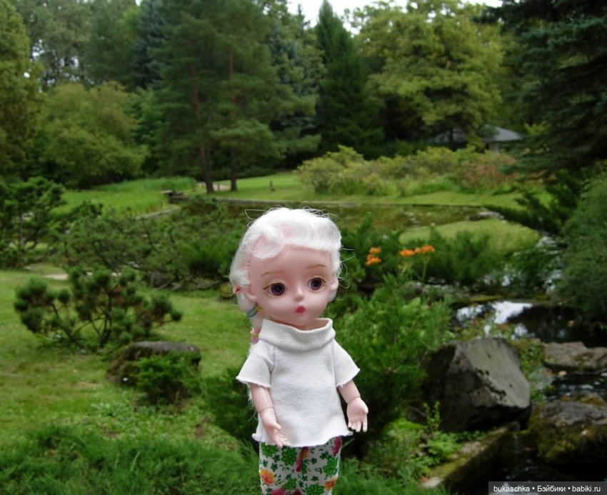 В Японском саду — Куклы Baboliy (Баболи
